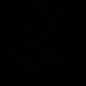 Meet your Posher, Nevaeh